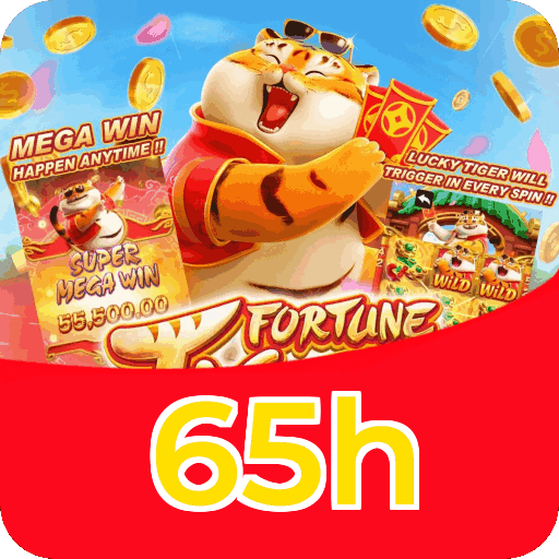 Recursos de Segurança da Plataforma - SSL, Firewall, Criptografia